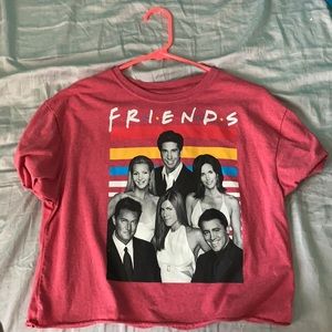 FRIENDS the series shirt